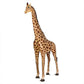 Life-Size Animals